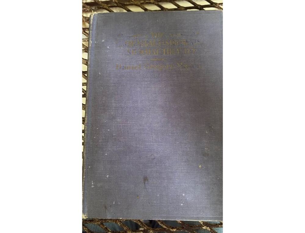 The Orchestral Instruments and What They Do by Daniel Gregory Mason